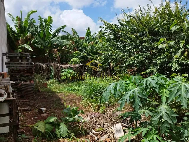 Terreno com 200m², à venda, no bairro Jardim Alto do Cafezal em Londrina