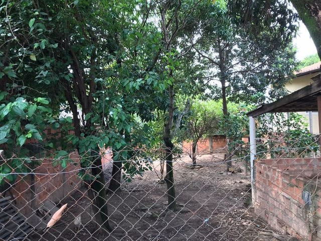 Terreno com 200m², à venda, no bairro Santa Clara em Campinas