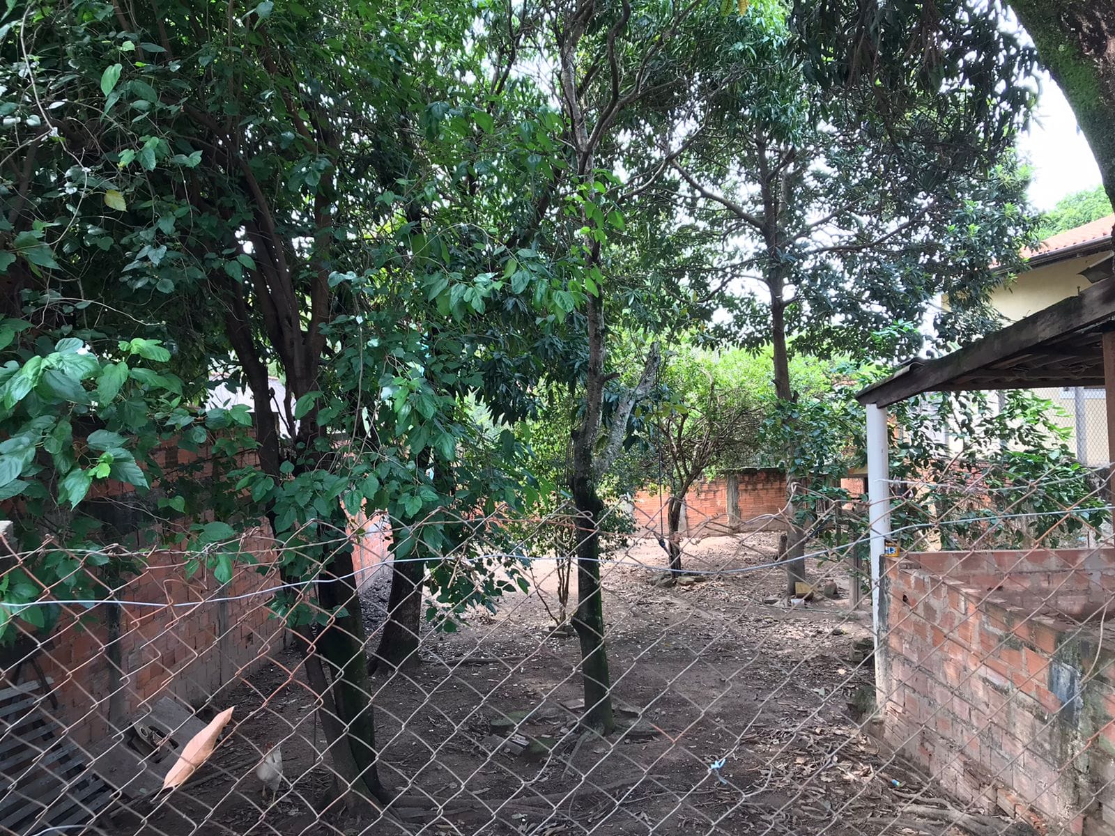 Terreno, 200 m² - Foto 3