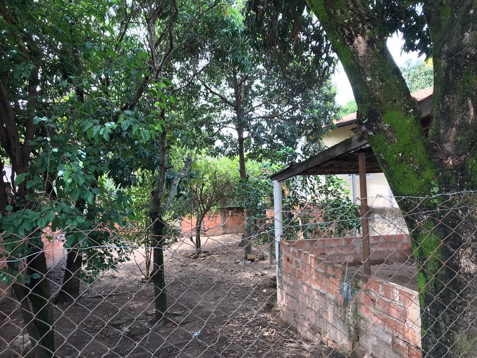 Terreno, 200 m² - Foto 6