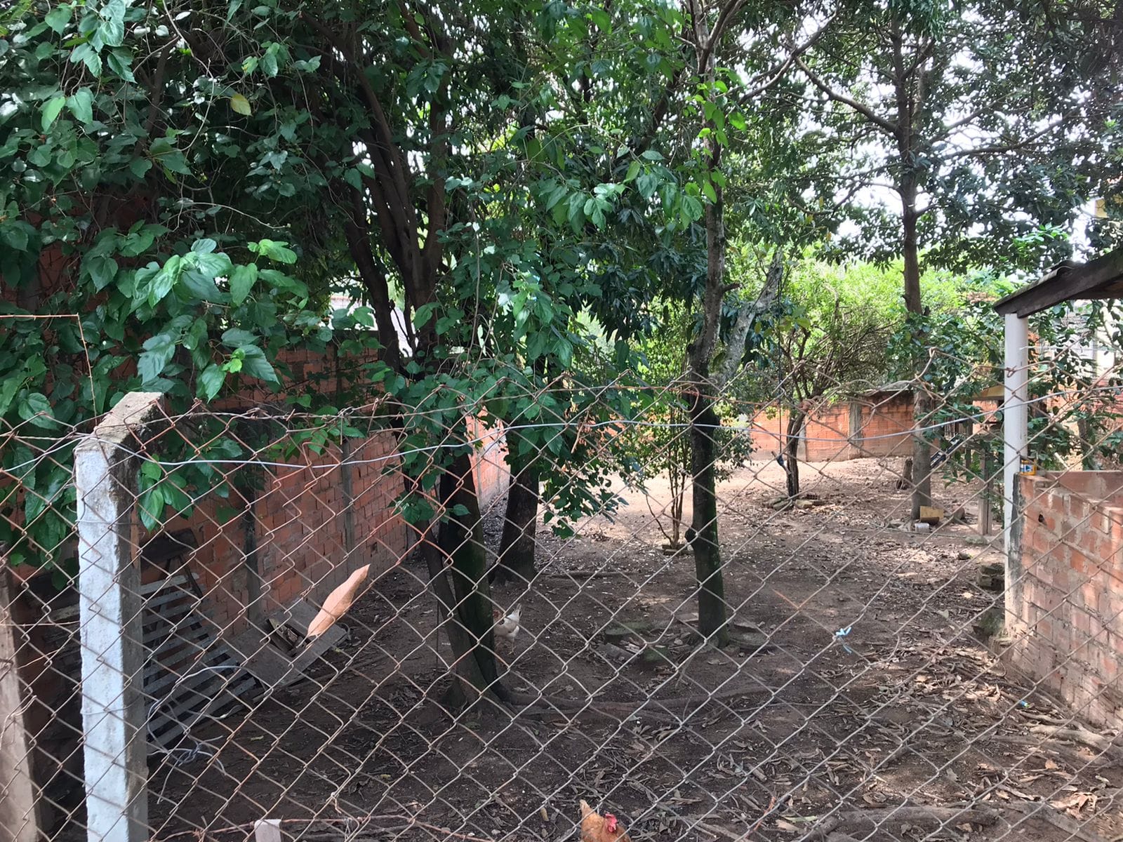 Terreno, 200 m² - Foto 9