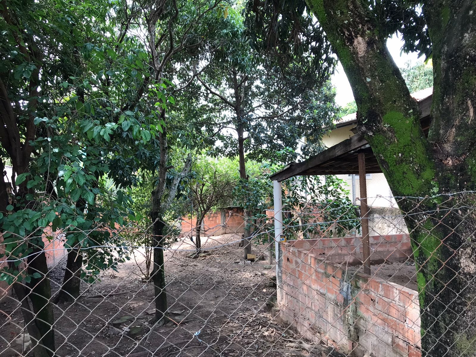 Terreno, 200 m² - Foto 7