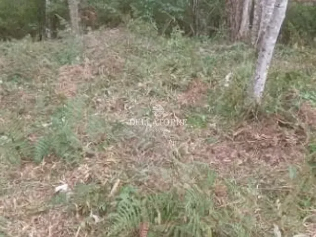 Terreno com 833m², à venda, no bairro Parque do Imbui em Teresópolis