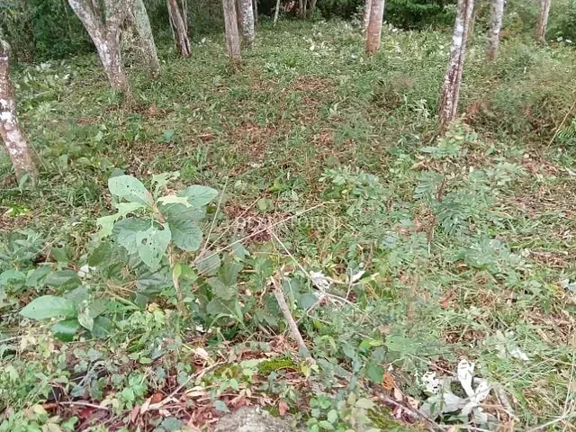 Terreno com 833m², à venda, no bairro Parque do Imbui em Teresópolis