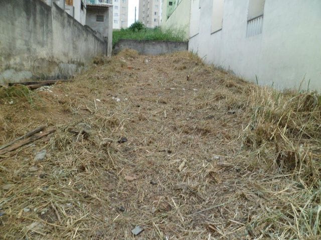 Terreno com 270m², à venda, no bairro Vila Mafra em São Paulo