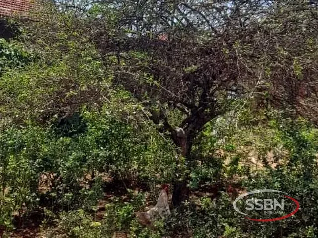 Terreno com 160m², à venda, no bairro Jardim Alvorada em Nova Odessa