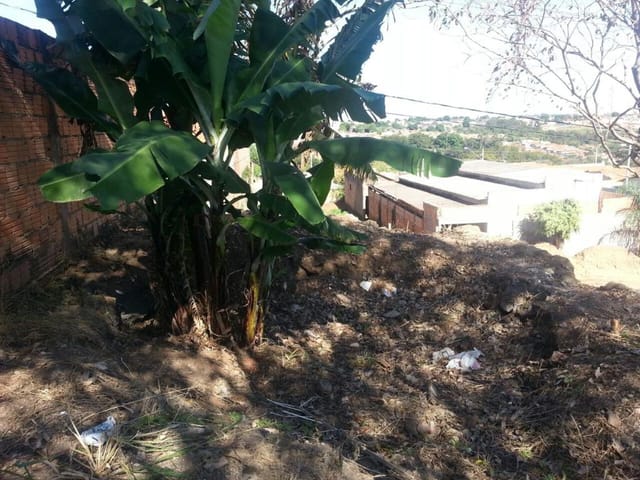 Foto do Terreno - Terreno à venda 300M², Boa Vista, Uberaba - MG | ZUCATO IMOBILIARIA LTDA