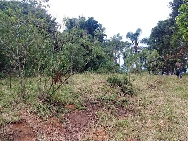 Terreno com 1458m², à venda, no bairro Jardim Olympia em Jacareí