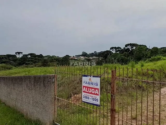 Terreno com 4000m², para alugar, no bairro Bom Jesus em Campo Largo