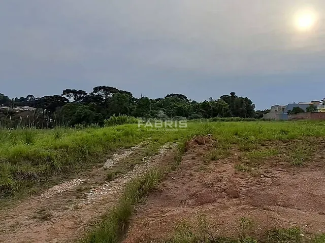 Terreno com 4000m², para alugar, no bairro Bom Jesus em Campo Largo