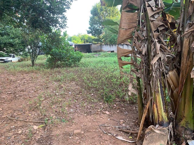 Terreno com 1500m², à venda, no bairro Condomínio Parque dos Cisnes em Goiânia