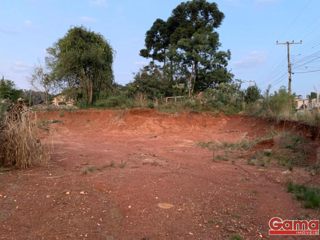 Terreno com 815m², à venda, no bairro Sagrada Familia em Nova Prata