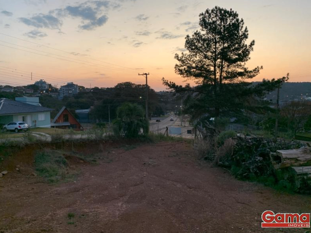Terreno com 815m², à venda, no bairro Sagrada Familia em Nova Prata