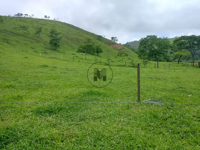 Terreno com 1279m², à venda, no bairro Roseira em Roseira