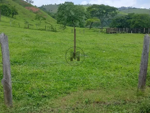 Terreno com 1279m², à venda, no bairro Roseira em Roseira