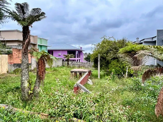 Terreno com 450m², à venda, no bairro Loteamento São Francisco de Assis em Campo Largo