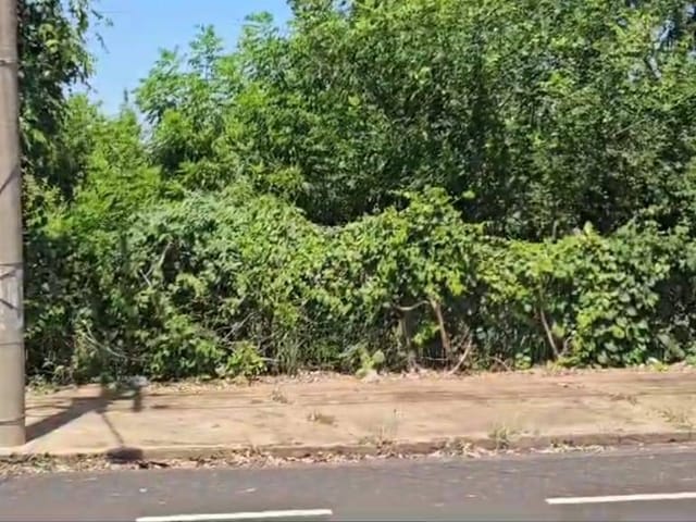 Terreno com 1000m², à venda, no bairro Fartura em Mirassol