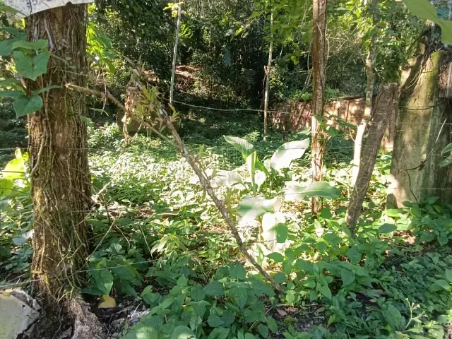Terreno com 520m², à venda, no bairro Parada Modelo em Guapimirim