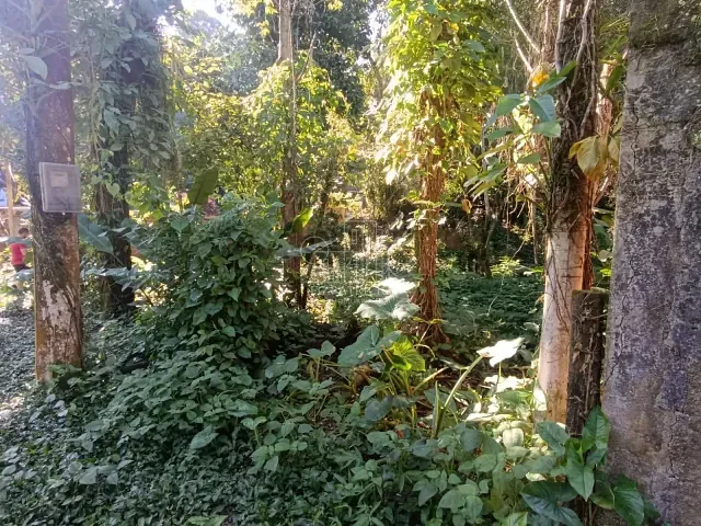 Terreno com 520m², à venda, no bairro Parada Modelo em Guapimirim