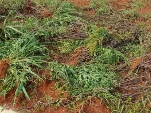 Terreno com 200m², à venda, no bairro Jardim dos Lagos 2 em Nova Odessa