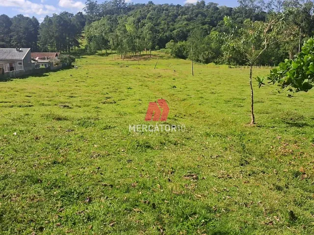 Terreno com 10000m², à venda, no bairro Itoupavazinha em Blumenau