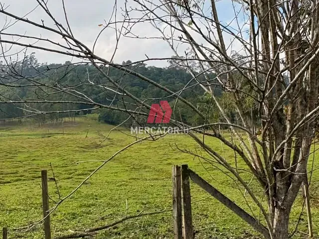 Terreno com 10000m², à venda, no bairro Itoupavazinha em Blumenau