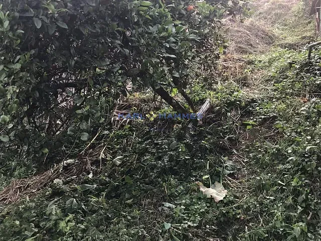 Terreno com 590m², à venda, no bairro Quitandinha em Petrópolis