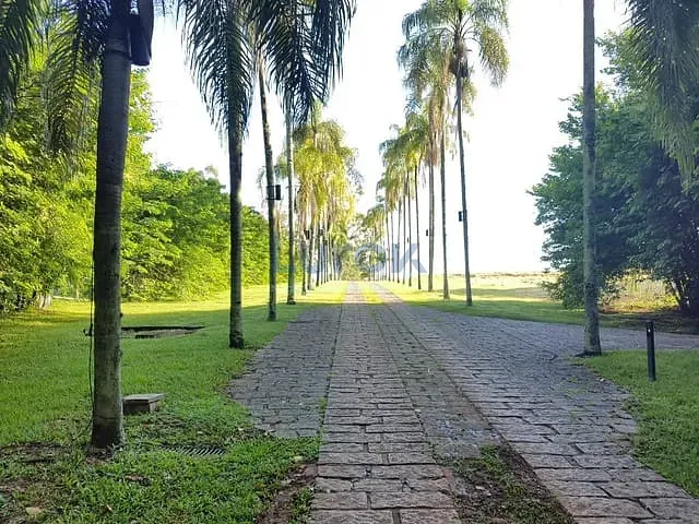 Terreno com 20032m², à venda, no bairro Jardim Martinelli (Sousas) em Campinas