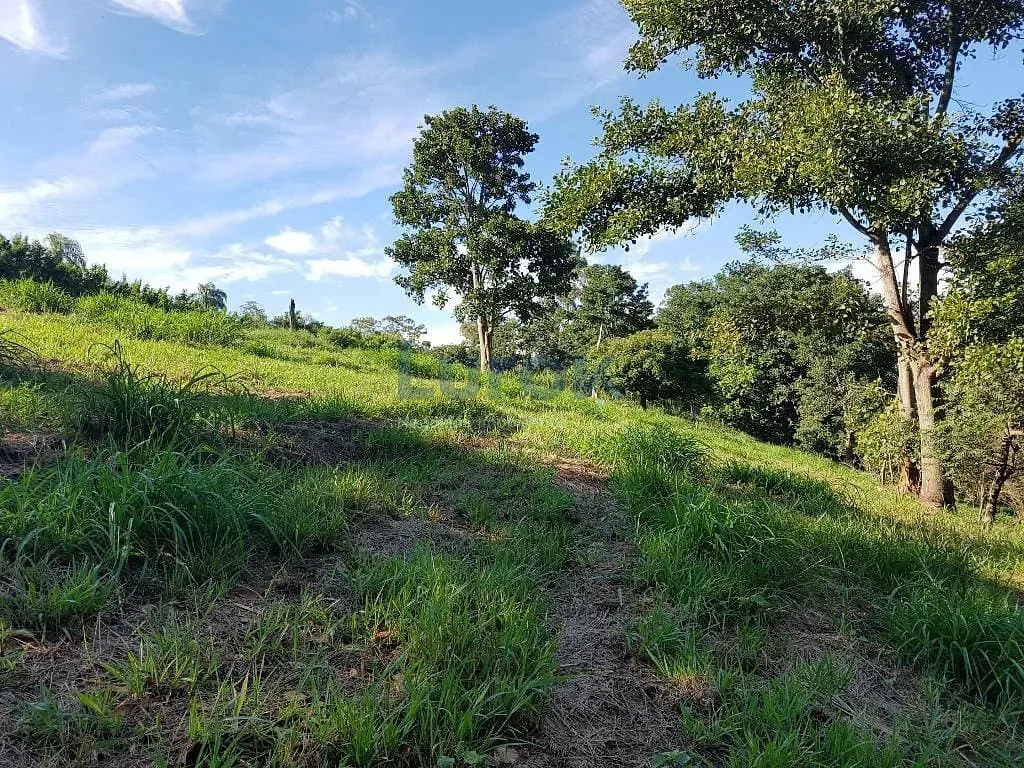 Terreno, 2 hectares - Foto 25