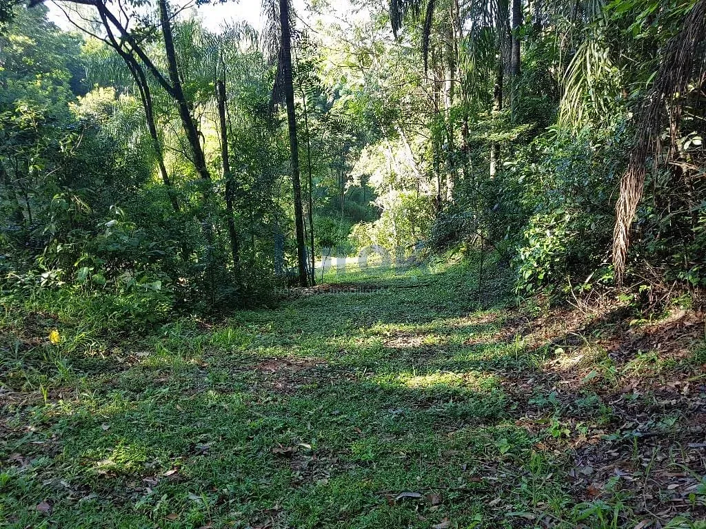 Terreno, 2 hectares - Foto 15