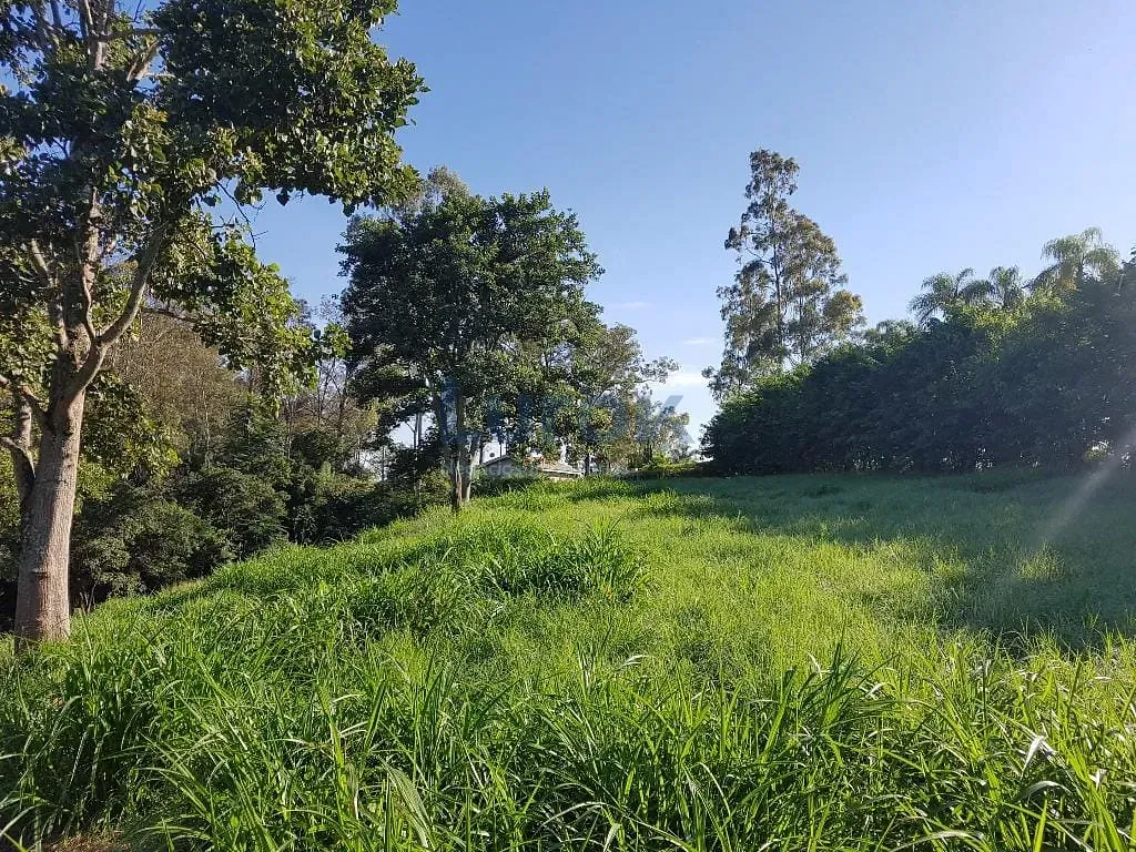 Terreno, 2 hectares - Foto 13