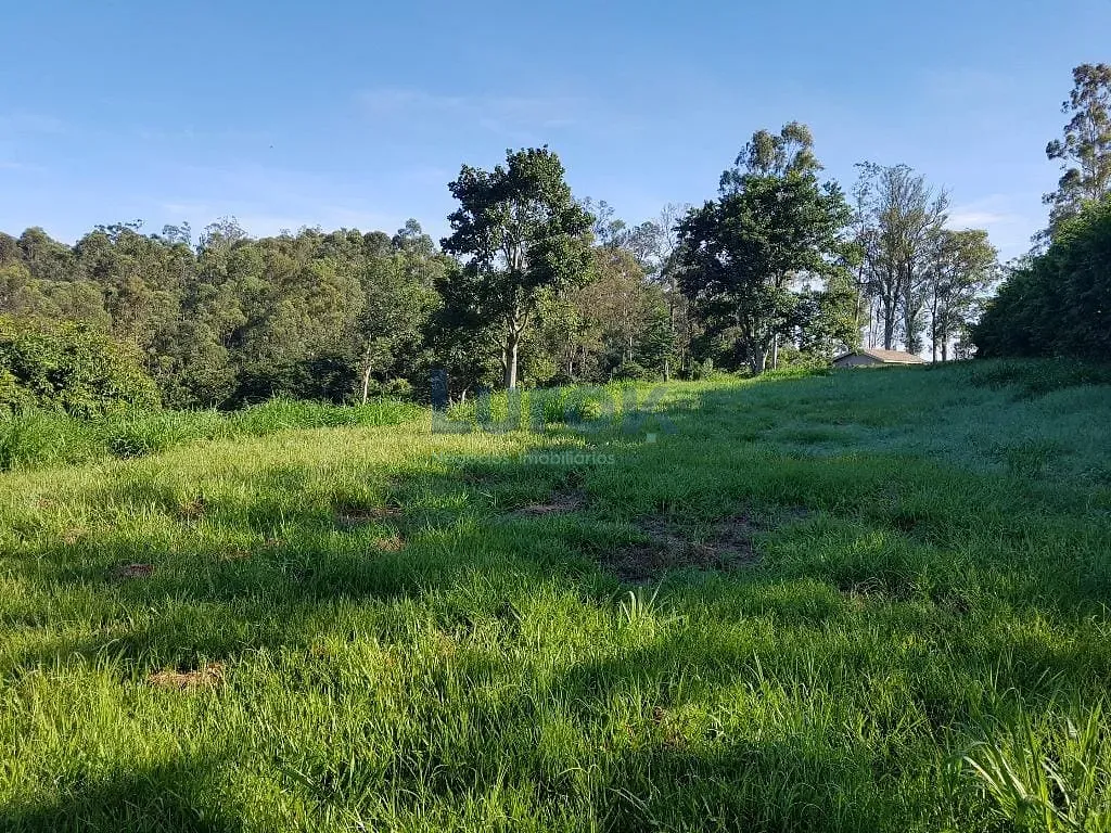 Terreno, 2 hectares - Foto 7
