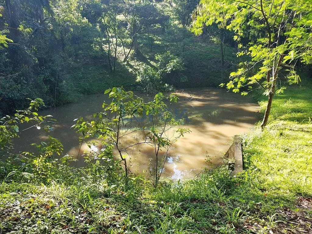 Terreno, 2 hectares - Foto 18
