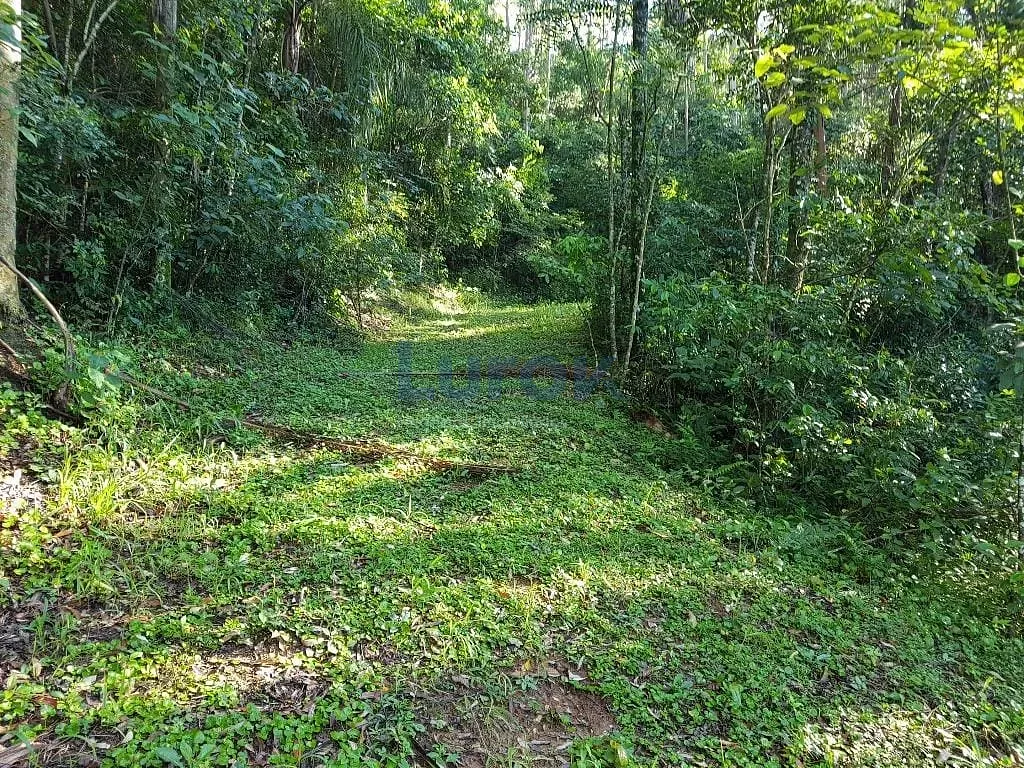 Terreno, 2 hectares - Foto 16