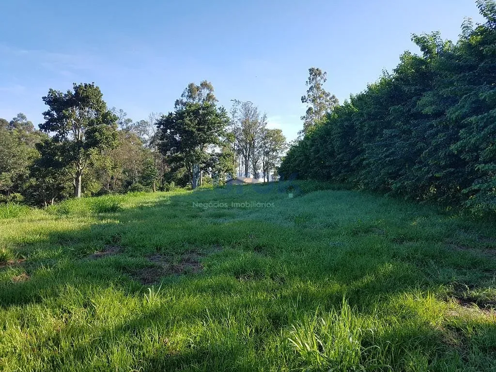 Terreno, 2 hectares - Foto 6