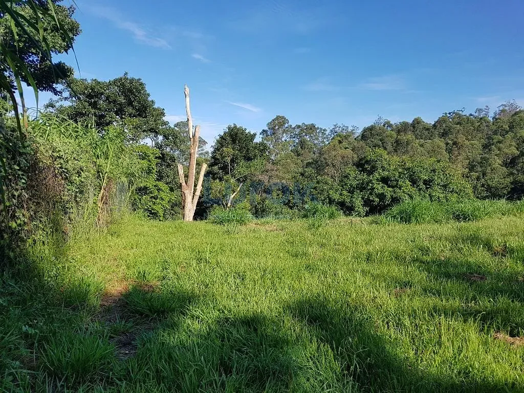 Terreno, 2 hectares - Foto 9
