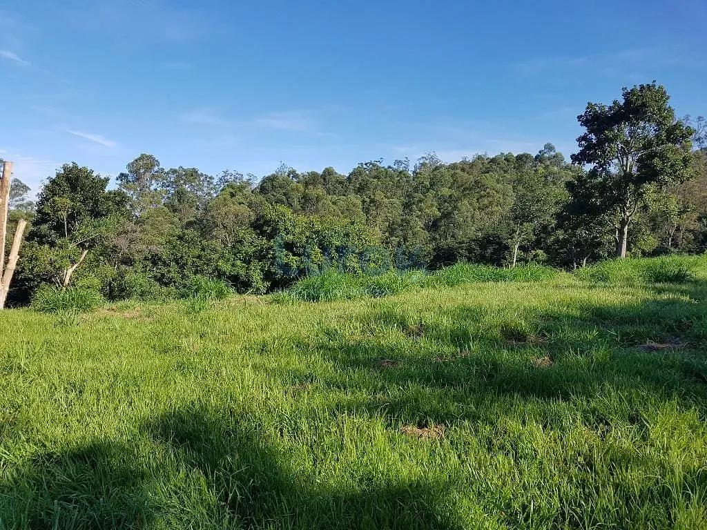 Terreno, 2 hectares - Foto 8