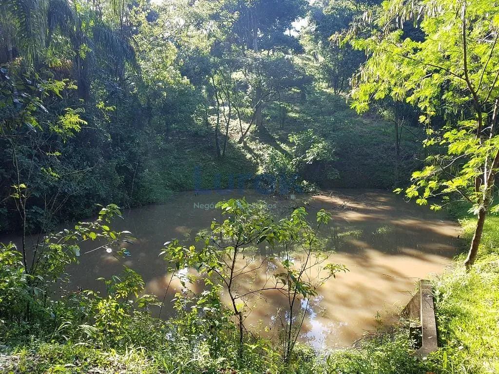 Terreno, 2 hectares - Foto 17