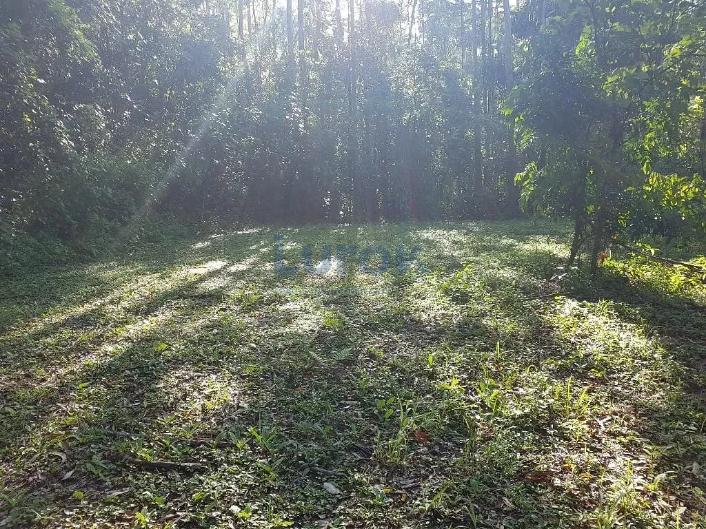 Terreno, 2 hectares - Foto 14