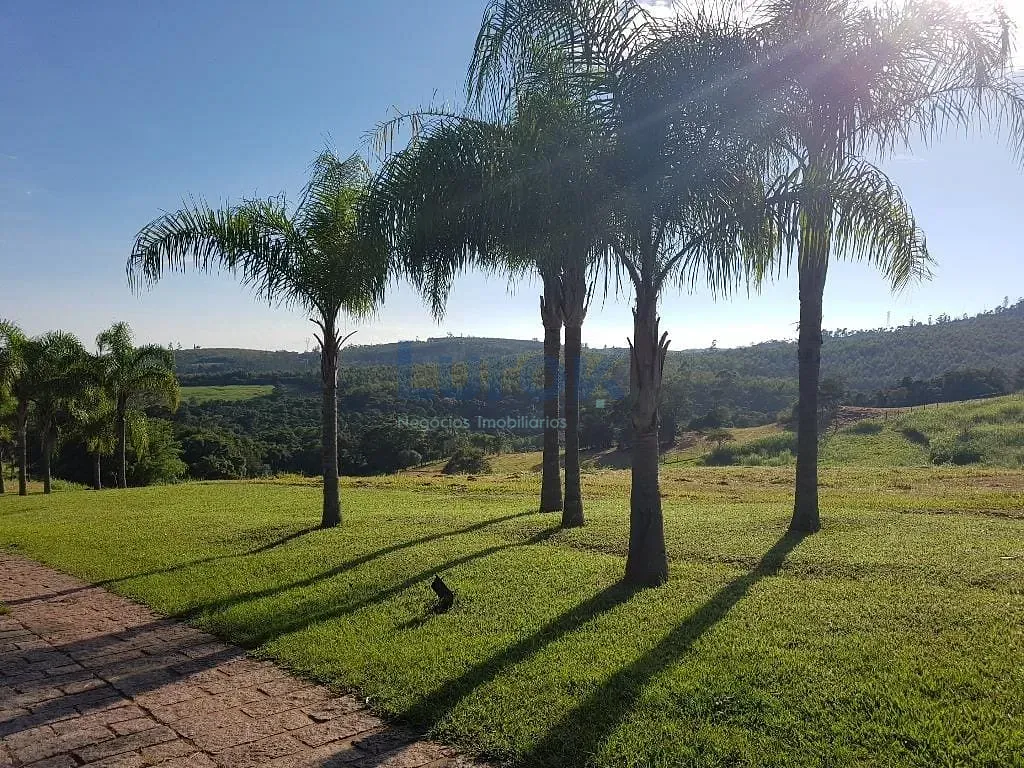 Terreno, 2 hectares - Foto 4