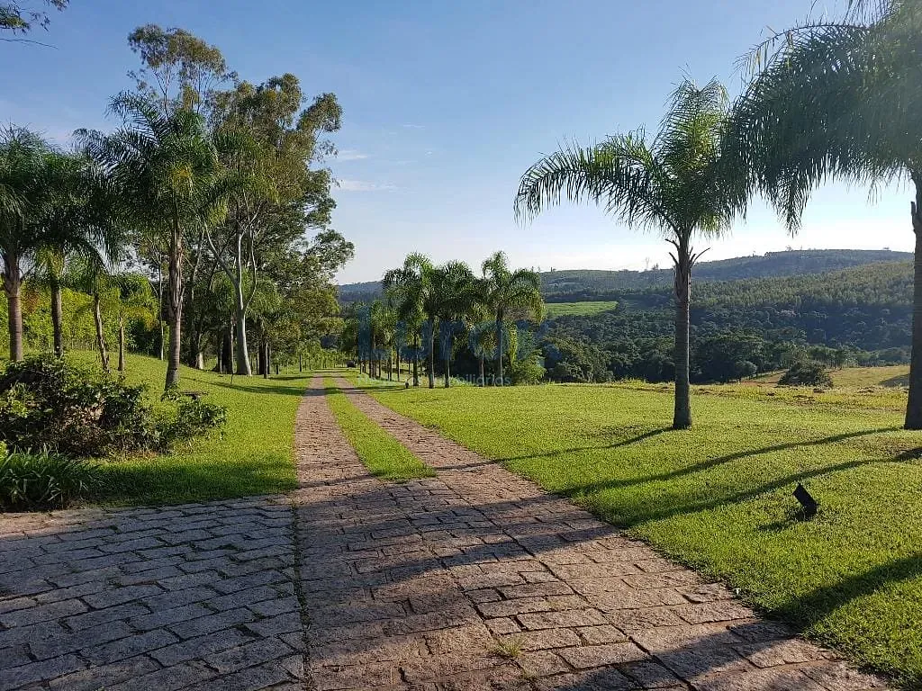 Terreno, 2 hectares - Foto 3