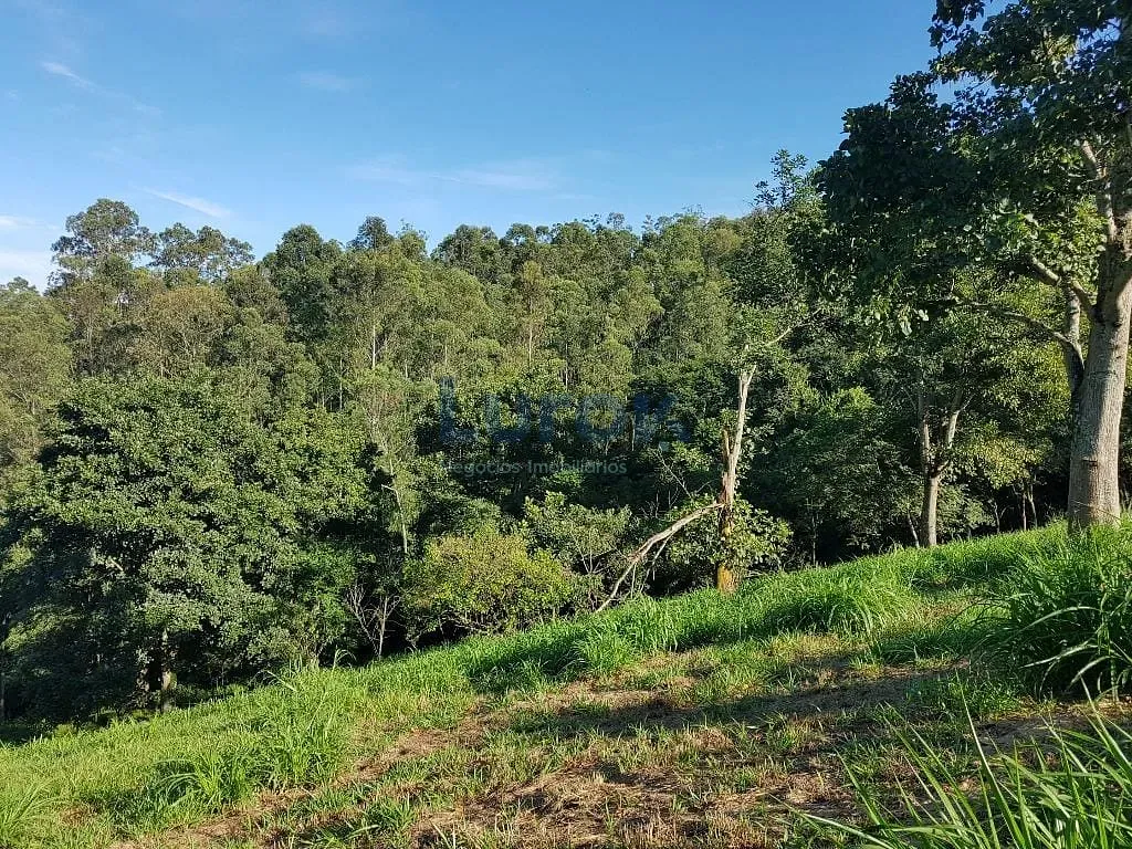 Terreno, 2 hectares - Foto 11