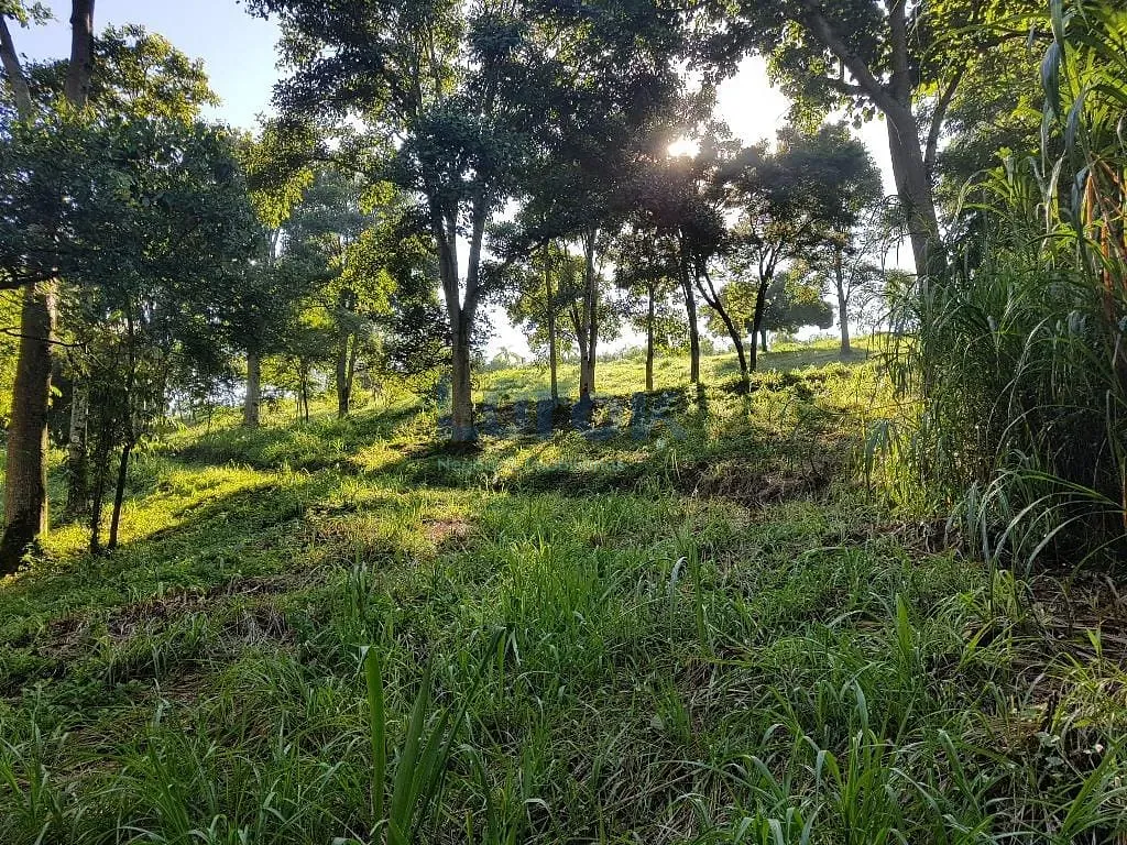 Terreno, 2 hectares - Foto 21
