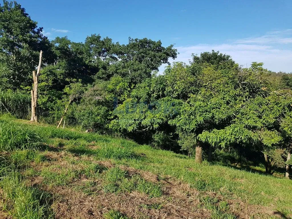 Terreno, 2 hectares - Foto 10