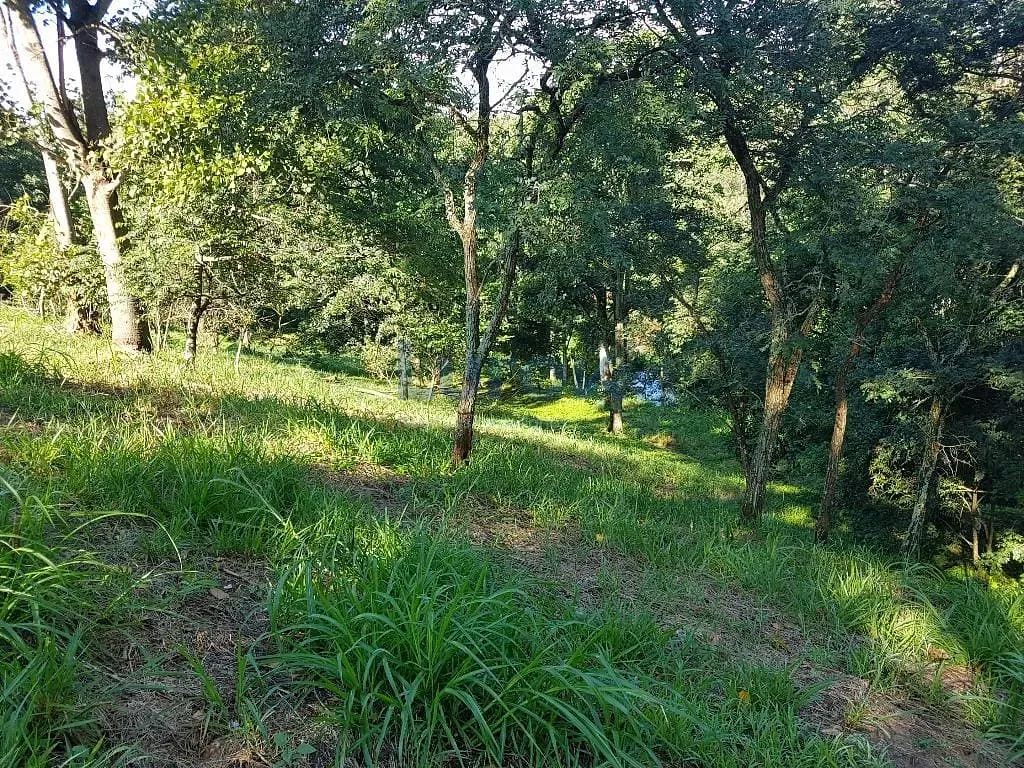 Terreno, 2 hectares - Foto 26