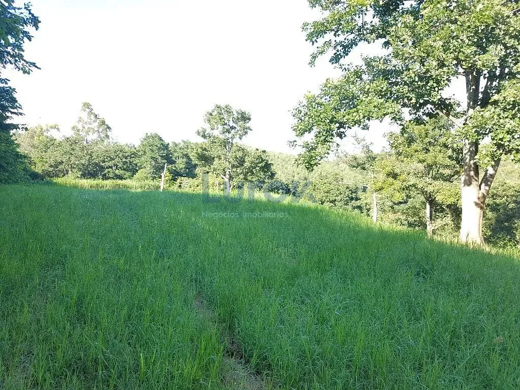 Terreno, 2 hectares - Foto 28