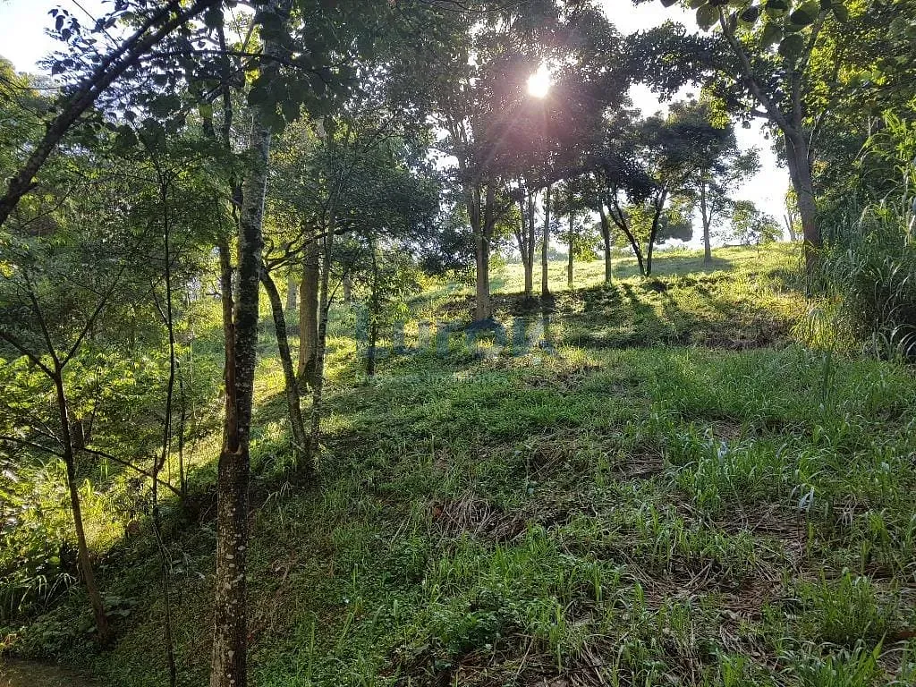 Terreno, 2 hectares - Foto 19
