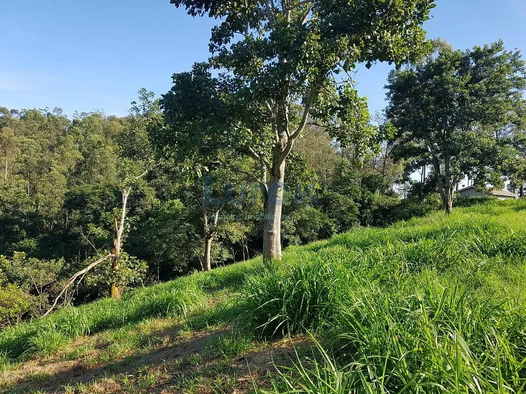 Terreno, 2 hectares - Foto 12