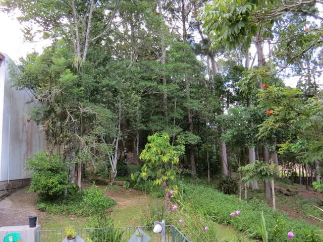 Terreno com 11023m², à venda, no bairro Cacupé em Florianópolis