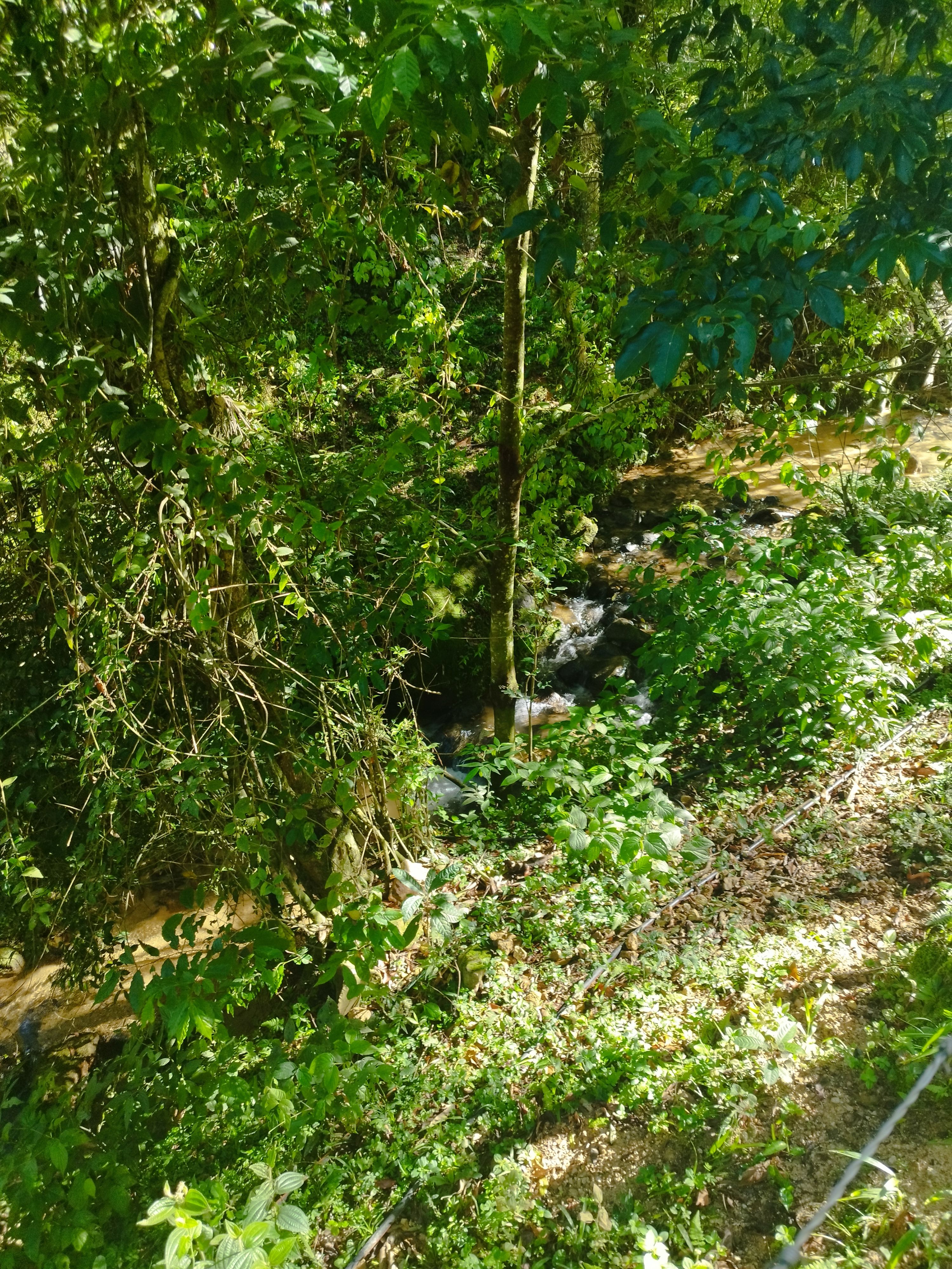 Terreno, 657 m² - Foto 13